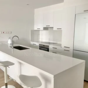 2 Bedroom Apartment for Rent in Nicosia District