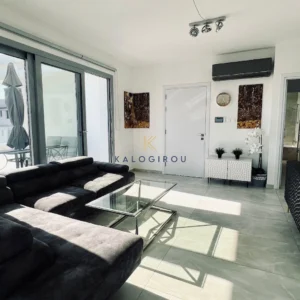 2 Bedroom Apartment for Rent in Larnaca District