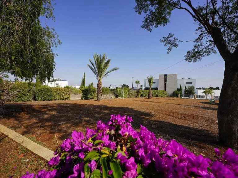 Nicosia