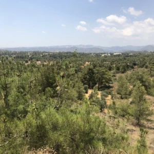 1,725m² Plot for Sale in Kornos, Larnaca District
