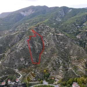 25,753m² Plot for Sale in Pelendri, Limassol District