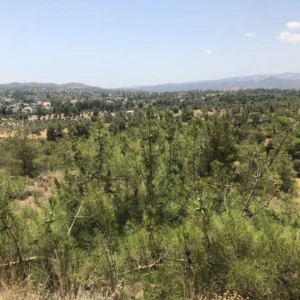 1,633m² Plot for Sale in Kornos, Larnaca District