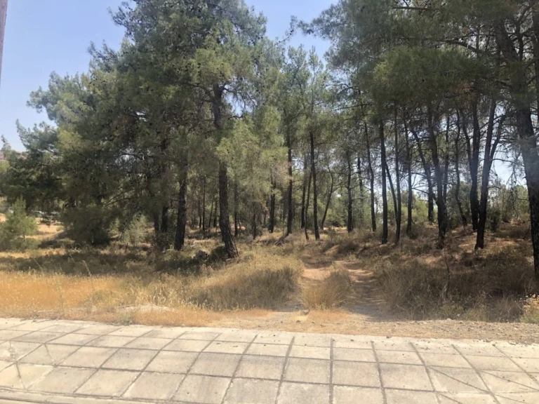 Larnaca