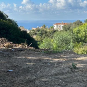 Plot for Sale in Pegeia, Paphos District