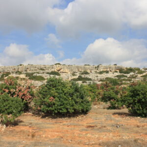 3 Bedroom House for Sale in Peyia, Paphos District