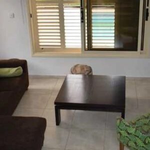 3 Bedroom House for Rent in Pyrgos Lemesou, Limassol District