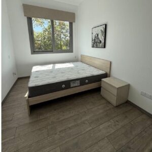 2 Bedroom Apartment for Rent in Mouttagiaka, Limassol District