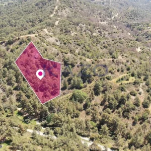 7,810m² Plot for Sale in Pera Pedi, Limassol District
