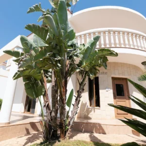 3 Bedroom House for Sale in Paralimni, Famagusta District