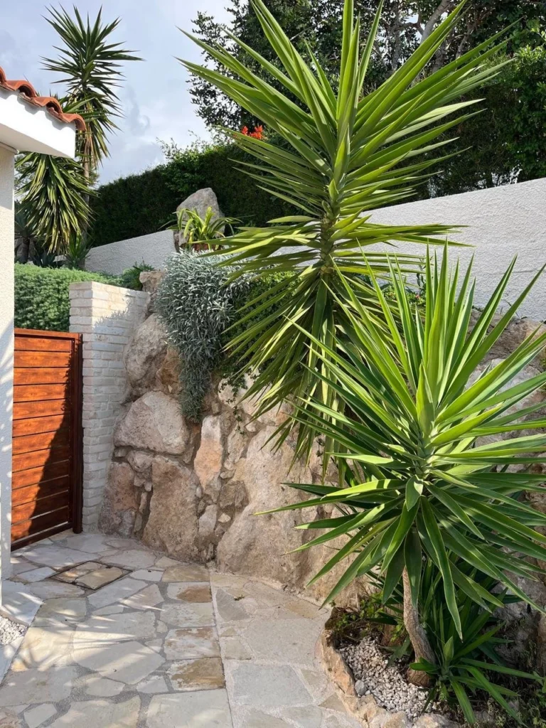 Buy Real Estate in Cyprus