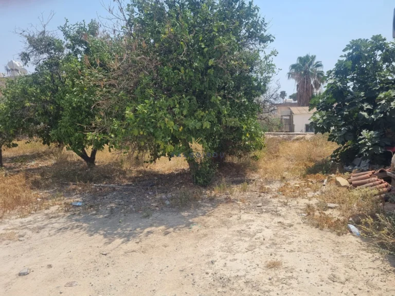 Larnaca