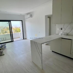 3 Bedroom Apartment for Rent in Larnaca District
