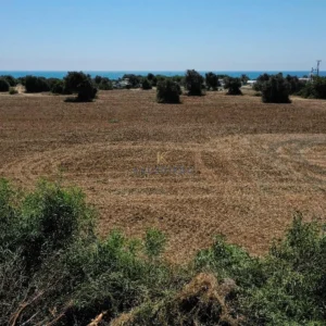 3,879m² Plot for Sale in Mazotos, Larnaca District
