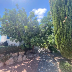 3 Bedroom House for Rent in Pissouri, Limassol District
