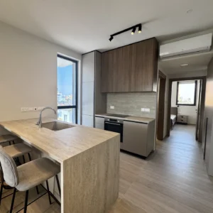1 Bedroom Apartment for Rent in Limassol – Zakaki