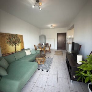 1 Bedroom Apartment for Rent in Limassol – Agia Fyla