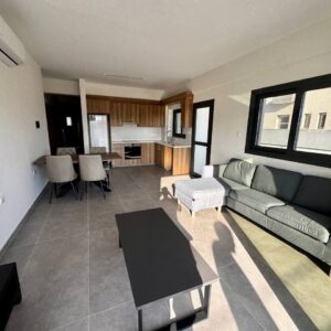 2 Bedroom Apartment for Rent in Limassol District