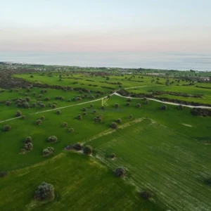 5,352m² Plot for Sale in Agios Theodoros, Larnaca District