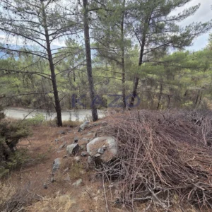 6,021m² Plot for Sale in Pelendri, Limassol District