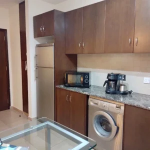 2 Bedroom Apartment for Rent in Larnaca District