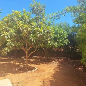 3 Bedroom House for Sale in Paralimni, Famagusta District