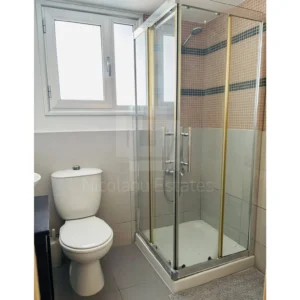 1 Bedroom Apartment for Rent in Limassol District