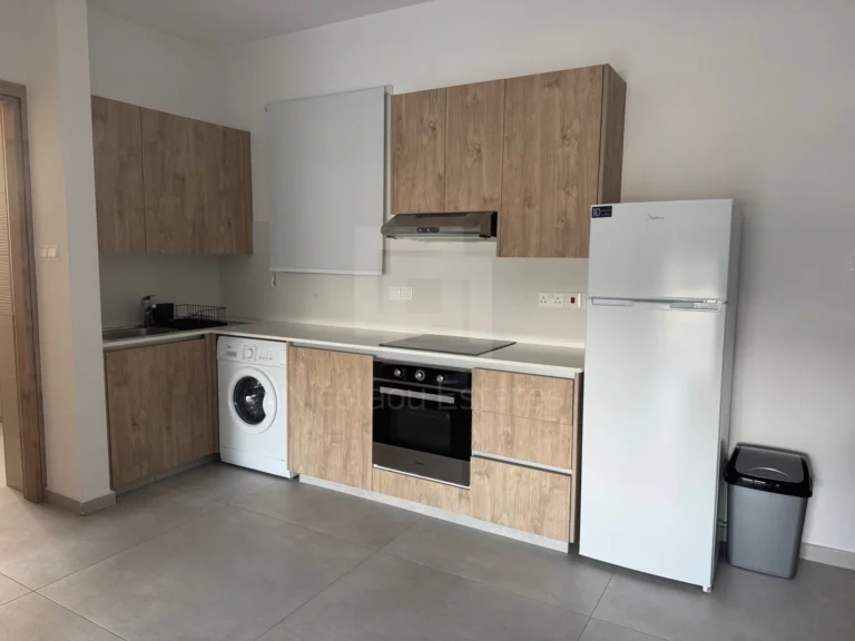 Cheap Apartments for Rent Nicosia up to 900 euro
