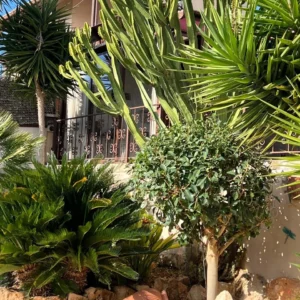 5 Bedroom House for Sale in Pissouri, Limassol District