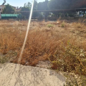 1200m² Building for Rent