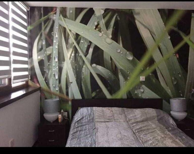 For Rent