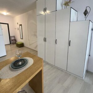 1 Bedroom Apartment for Rent in Limassol – Agia Napa