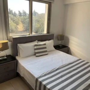 2 Bedroom Apartment for Rent in Meneou, Larnaca District