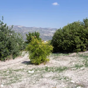 1 Bedroom House for Sale in Vavla, Larnaca District