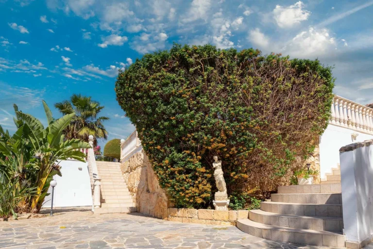 Paphos