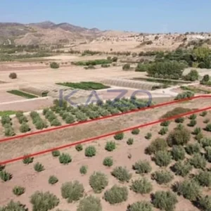 3,345m² Plot for Sale in Agia Varvara, Paphos District