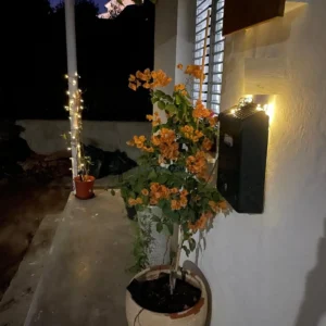 1 Bedroom House for Rent in Kiti, Larnaca District