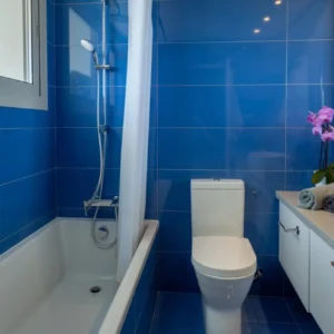 6+ Bedroom House for Sale in Limassol – Agia Fyla