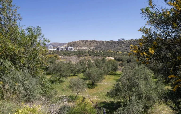 Plots of Land for Sale