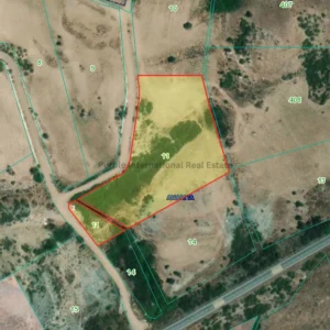 9,565m² Plot for Sale in Anarita, Paphos District
