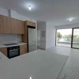 2 Bedroom Apartment for Rent in Larnaca District