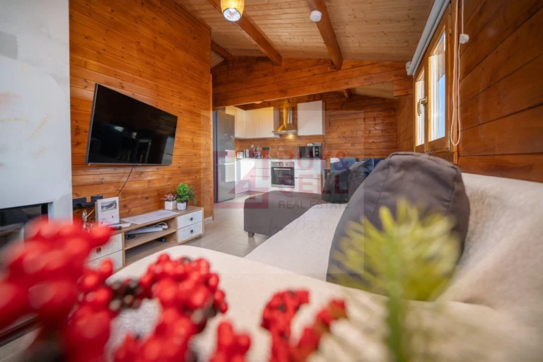 Cheap Houses and Villas for Rent in Cyprus