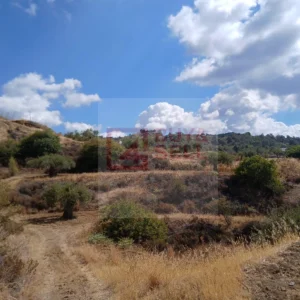 10,368m² Plot for Sale in Kalo Chorio Lemesou, Limassol District
