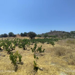 5,352m² Plot for Sale in Limassol District