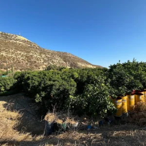 1,630m² Plot for Sale in Germasogeia, Limassol District