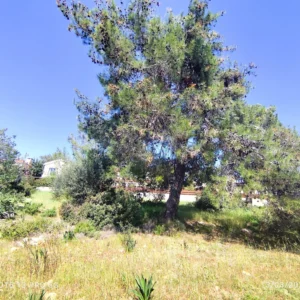 959m² Plot for Sale in Limassol District