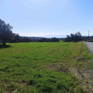 2,297m² Plot for Sale in Anogyra, Limassol District