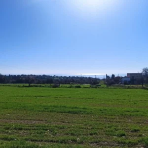 4,584m² Plot for Sale in Anogyra, Limassol District