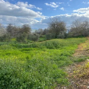 1,840m² Plot for Sale in Paphos District