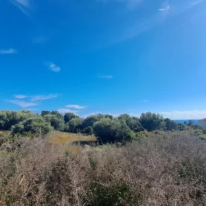 1,387m² Plot for Sale in Secret Valley, Paphos District