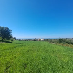 2,700m² Plot for Sale in Anarita, Paphos District